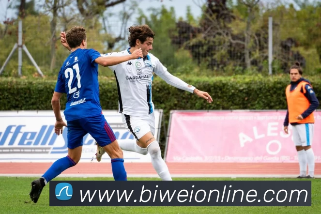 AI Risk Control